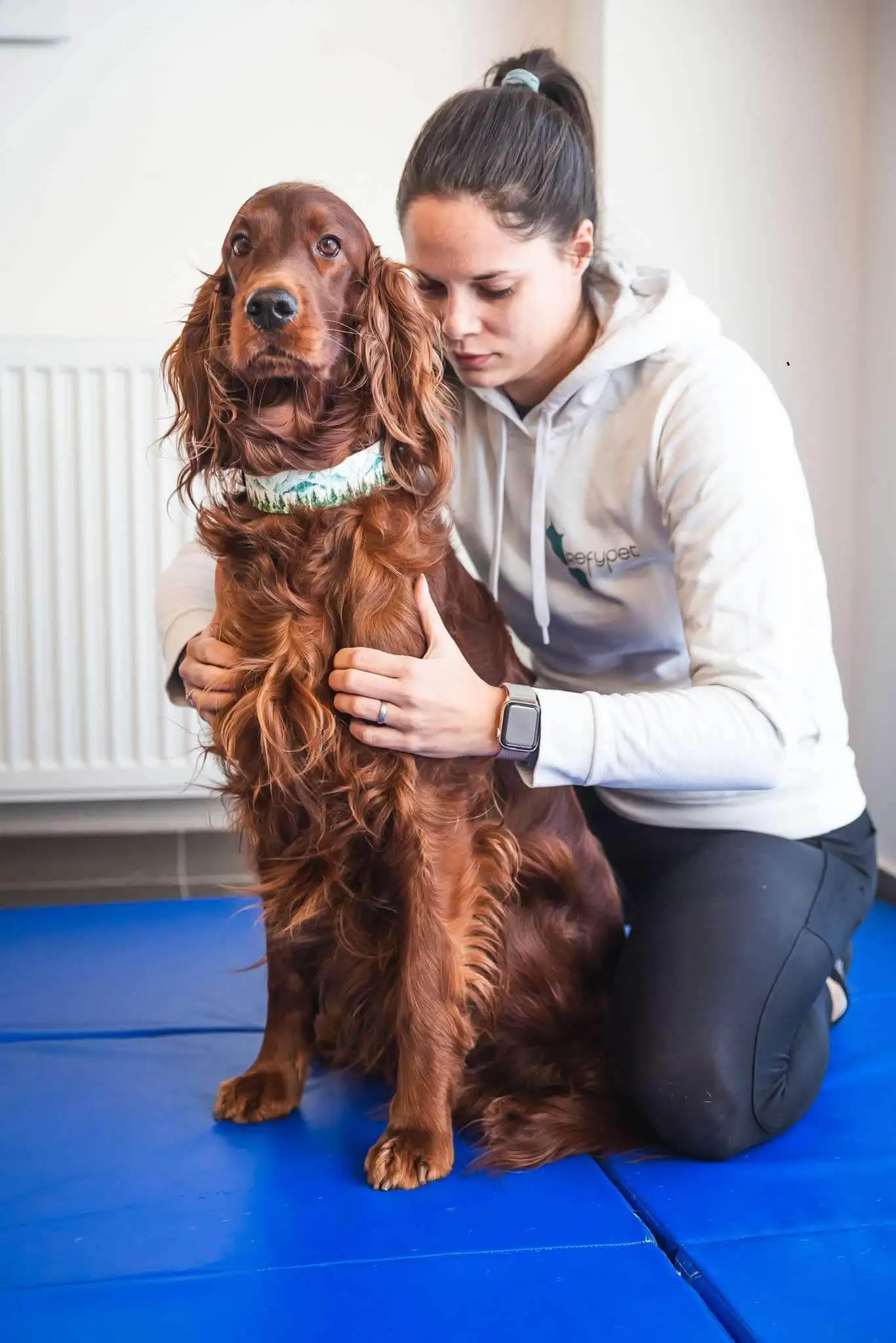 Fyzioterapie a rehabilitace zvířat, Klára Haklová