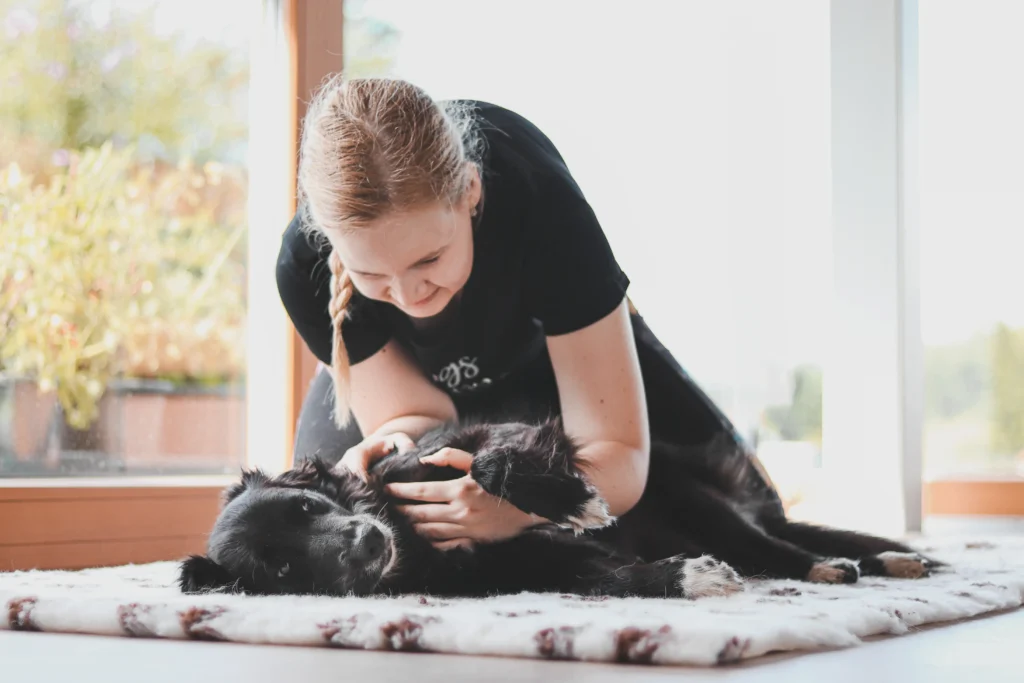 Manuální metody veterinární fyzioterapie, Kloubní mobilizace