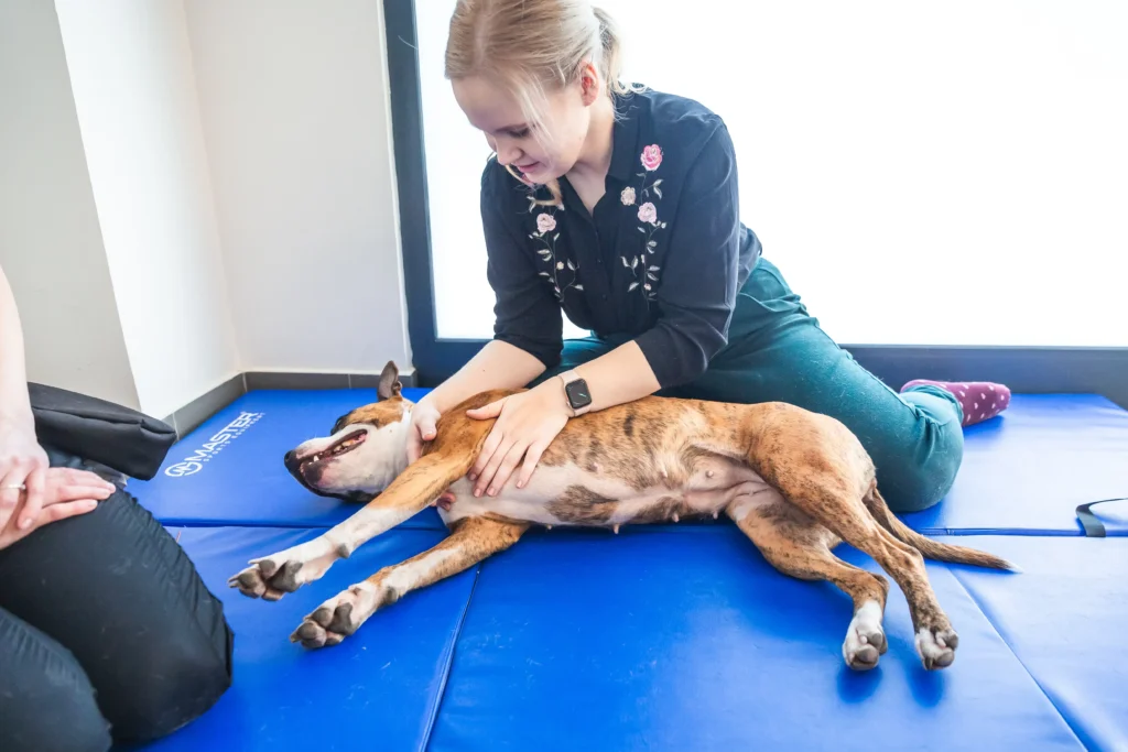 Manuální metody veterinární fyzioterapie, Strečink