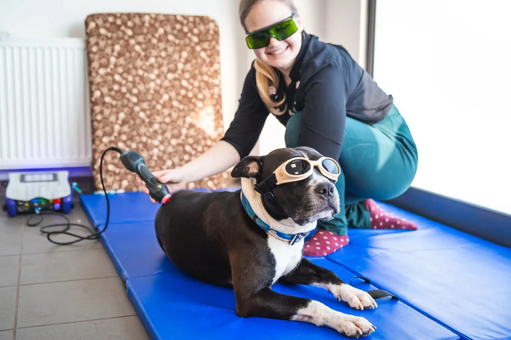 Fyzikální metody veterinární fyzioterapie, Laserová terapie